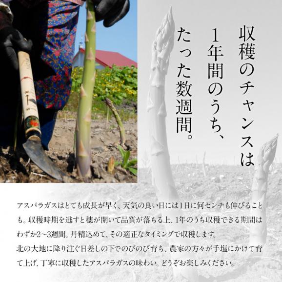 北海道 富良野産 露地栽培アスパラガス 2色食べ比べセット 2.0kg(グリーン1,200g＆ホワイト800g)【送料無料】06