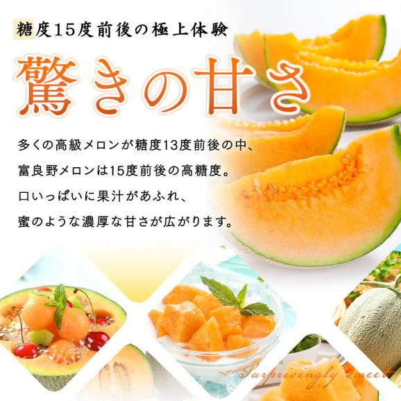【7月後半-8月前半お届け】北海道 富良野産 赤肉メロン 1.6kg【送料無料】03