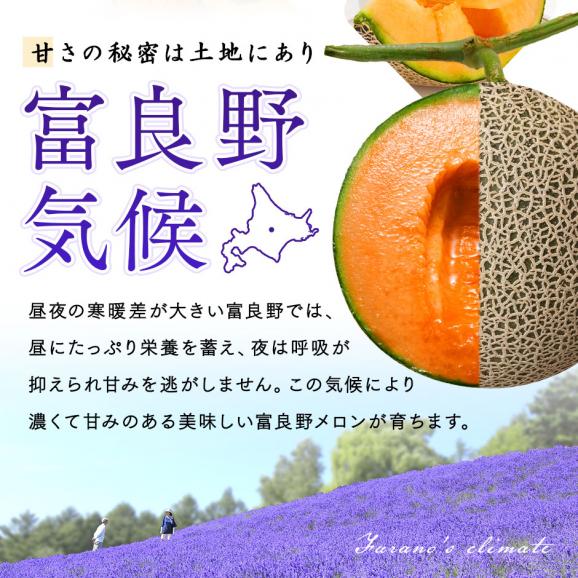 【7月後半-8月前半お届け】北海道 富良野産 赤肉メロン 1.6kg【送料無料】04