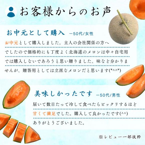 【7月後半-8月前半お届け】北海道 富良野産 赤肉メロン 1.6kg【送料無料】06