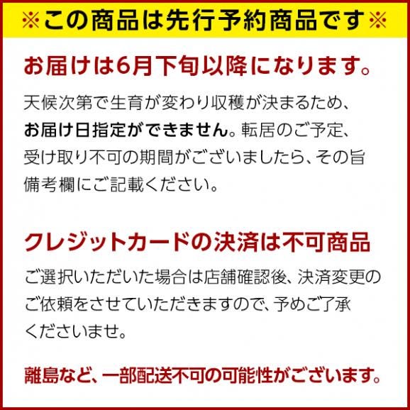 【予約開始】【6月下旬-7月前半お届け】北海道 富良野産 赤肉メロン 3.2kg（1.6kg×2玉）【送料無料】02