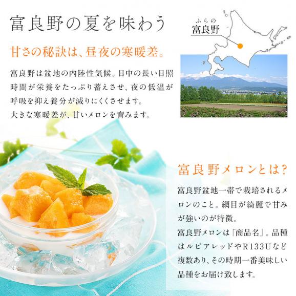 【予約開始】【6月下旬-7月前半お届け】北海道 富良野産 赤肉メロン 8.0kg（1.6kg×5玉）【送料無料】03