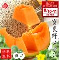 【8月10日～8月11日お届け】北海道 富良野産 特大赤肉メロン 2.7kg【送料無料】