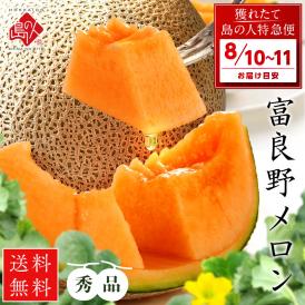 【8月10日～8月11日お届け】北海道 富良野産 特大赤肉メロン 2.7kg【送料無料】