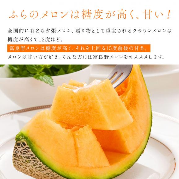 【予約開始】【7月前半お届け】北海道 富良野産 特大赤肉メロン 2.7kg【送料無料】04