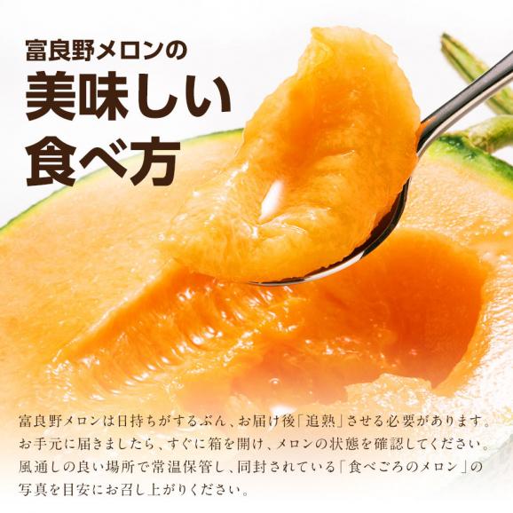 【予約開始】【7月前半お届け】北海道 富良野産 特大赤肉メロン 2.7kg【送料無料】05