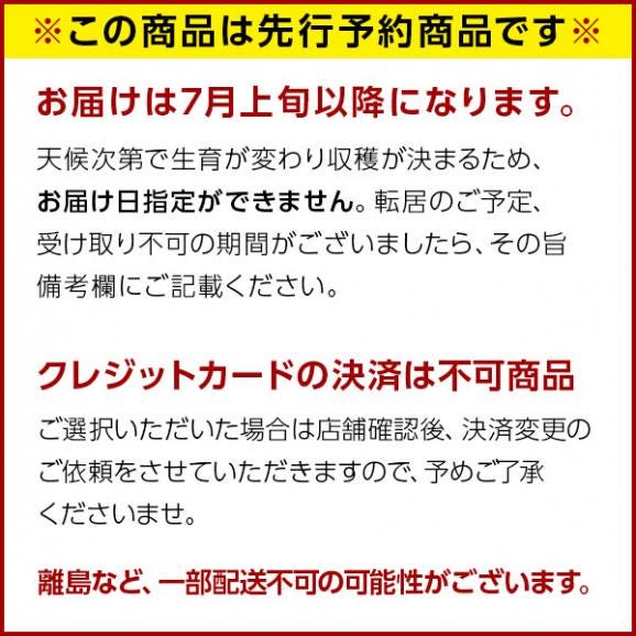 【予約開始】【7月前半お届け】北海道 富良野産 特大赤肉メロン 5.4kg（2.7kg×2玉）【送料無料】02