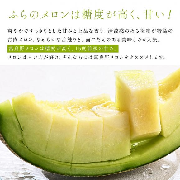 【予約開始】【7月後半〜8月前半お届け】北海道 富良野産 青肉メロン 1.6kg【送料無料】03