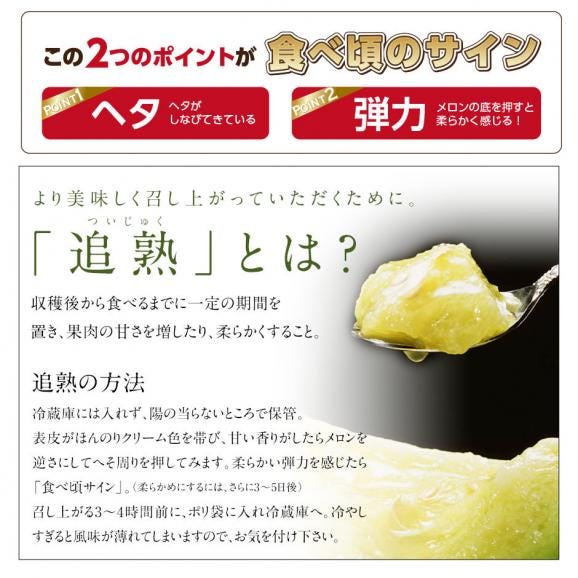 【予約開始】【7月後半〜8月前半お届け】北海道 富良野産 青肉メロン 1.6kg【送料無料】05