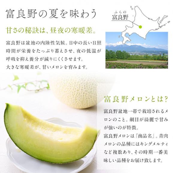 【予約開始】【7月後半〜8月前半お届け】北海道 富良野産 青肉メロン 8.0kg（1.6kg×5玉）【送料無料】03