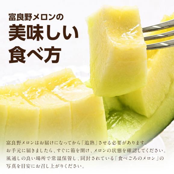 【予約開始】【7月後半-8月前半お届け】北海道 富良野産 食べ比べセット(赤肉＆青肉)　 4.0kg（2.0kg各1玉）【送料無料】05