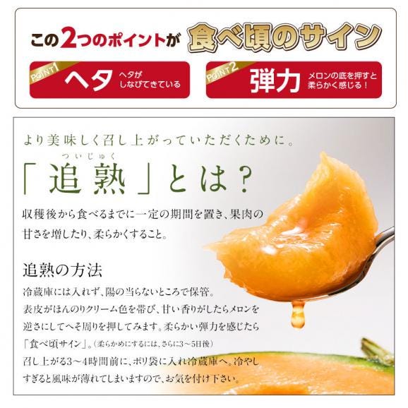 【予約開始】【7月後半-8月前半お届け】北海道 富良野産 食べ比べセット(赤肉＆青肉)　 4.0kg（2.0kg各1玉）【送料無料】06