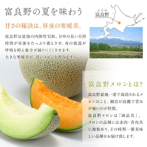 【予約開始】【7月後半-8月前半お届け】北海道 富良野産 食べ比べセット(赤肉＆青肉)　 8.0kg（1.6kg　赤玉3 青玉2）【送料無料】02