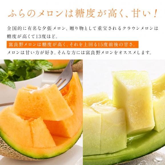 【予約開始】【7月後半-8月前半お届け】北海道 富良野産 食べ比べセット(赤肉＆青肉)　 8.0kg（1.6kg　赤玉3 青玉2）【送料無料】03