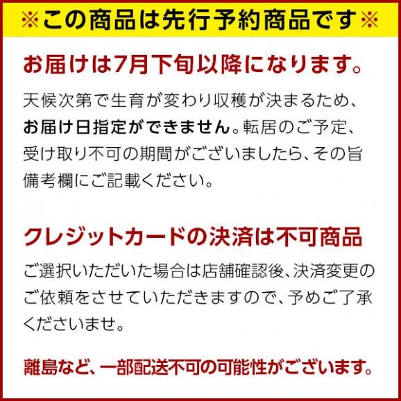 【新物予約】うに 北海道 利尻島 仙法志産 プレミアム 生エゾバフンウニ 240g【送料無料】02