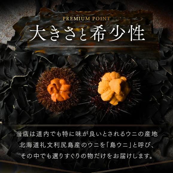 うに 北海道 利尻島 仙法志産 スーパープレミアム 生エゾバフンウニ 80g【送料無料】02