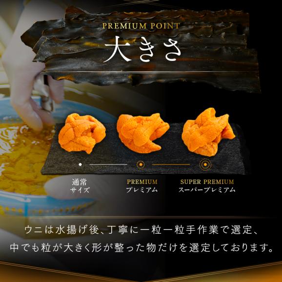 うに 北海道 利尻島 仙法志産 スーパープレミアム 生エゾバフンウニ 160g【送料無料】03