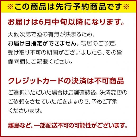 北海道 礼文・利尻島産の生ウニ入り旬鮮ギフトセット 夏の島宝 -aka-【送料無料】 【ギフト箱入り】北海道 生うに 塩水 パック 雲丹 バフンウニ 海鮮 海産物 ミョウバン不使用02