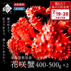 【7月19日～7月20日お届け】根室産 チルド花咲ガニ(姿) 400-500g前後【2尾セット】【送料無料】【獲れたて未冷凍】