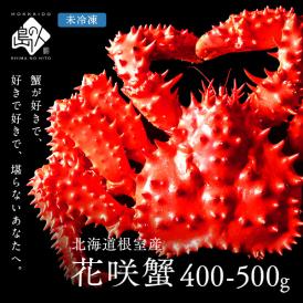 【獲れたて未冷凍】根室産 チルド花咲ガニ(姿) 400-500g前後