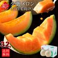 【7月前半お届け】北海道 夕張産 赤肉メロン 訳あり 3.2kg（1.6kg×2玉）【送料無料】