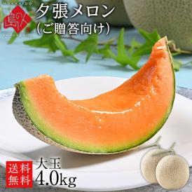 夕張メロン 特大4.0kg(2.0kg×2玉) 共撰優品(糖度11％以上)【送料無料】【ご贈答向け】
