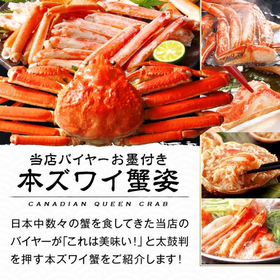 島の人 　北海道海鮮セット　雅（みやび）【送料無料】グルメ 福袋 お取り寄せグルメ 北海道 04