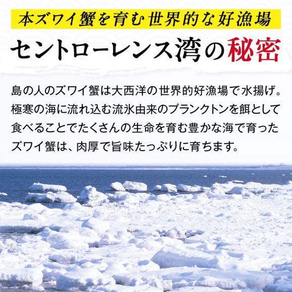 島の人 　北海道海鮮セット　雅（みやび）【送料無料】グルメ 福袋 お取り寄せグルメ 北海道 05