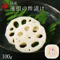蓮根の酢漬け 100g