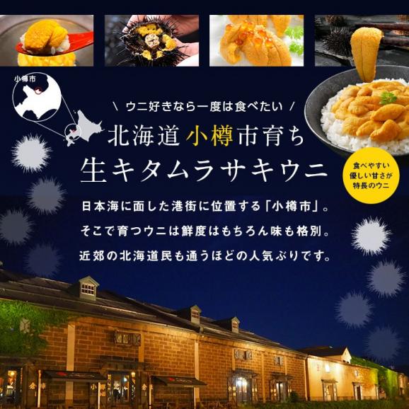 うに 北海道 小樽産 生ムラサキウニ 100g【送料無料】【6-7月限定販売】  小樽 雲丹 無添加 生うに 塩水パック 塩水ウニ ギフト グルメ 食品 食べもの 海鮮 海産 寿司 贈り物 お取り寄せ02