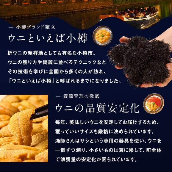 うに 北海道 小樽産 生ムラサキウニ 100g【送料無料】【6-7月限定販売】  小樽 雲丹 無添加 生うに 塩水パック 塩水ウニ ギフト グルメ 食品 食べもの 海鮮 海産 寿司 贈り物 お取り寄せ03