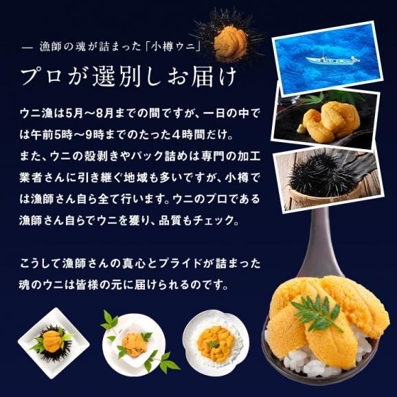 うに 北海道 小樽産 生ムラサキウニ 100g【送料無料】【6-7月限定販売】  小樽 雲丹 無添加 生うに 塩水パック 塩水ウニ ギフト グルメ 食品 食べもの 海鮮 海産 寿司 贈り物 お取り寄せ04