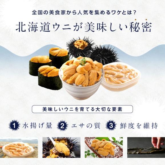 うに 北海道 小樽産 生ムラサキウニ 100g【送料無料】【6-7月限定販売】  小樽 雲丹 無添加 生うに 塩水パック 塩水ウニ ギフト グルメ 食品 食べもの 海鮮 海産 寿司 贈り物 お取り寄せ06