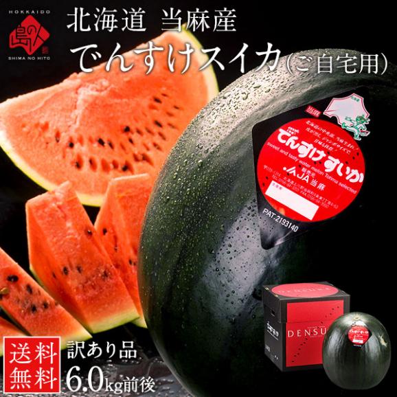 でんすけすいか 訳あり品 1玉(6kg)【北海道 当麻産】【送料無料】【良品】【ご自宅用】 お中元 御中元 西瓜 お取り寄せグルメ ギフト01