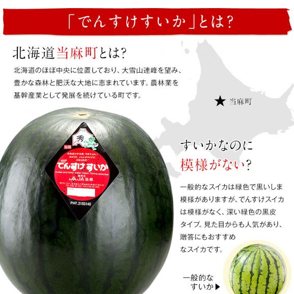 訳あり でんすけすいか 北海道 当麻産 1玉8〜10kg前後【送料無料】ご自宅用 産地直送04
