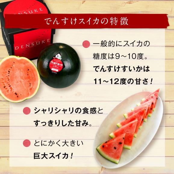 訳あり でんすけすいか 北海道 当麻産 1玉8〜10kg前後【送料無料】ご自宅用 産地直送05