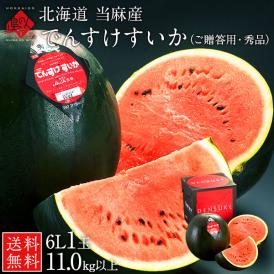 【贈答用・秀品】 ジャンボでんすけすいか 北海道 当麻産 1玉11kg以上【送料無料】