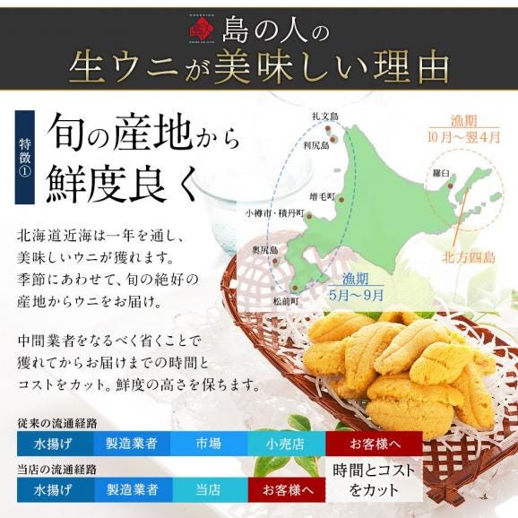 【7～8月限定販売】お中元 うに 北海道 松前産 生キタムラサキウニ 100g【送料無料】05