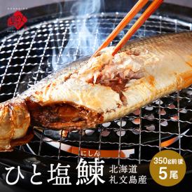 【新商品】礼文島産 ひと塩ニシン 350g前後×5尾 【10尾購入で送料無料】【白子or数の子入り)】