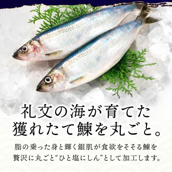 【新商品】礼文島産 ひと塩ニシン 350g前後×10尾 【送料無料】【白子or数の子入り)】02