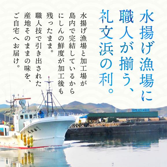 【新商品】礼文島産 ひと塩ニシン 350g前後×10尾 【送料無料】【白子or数の子入り)】03