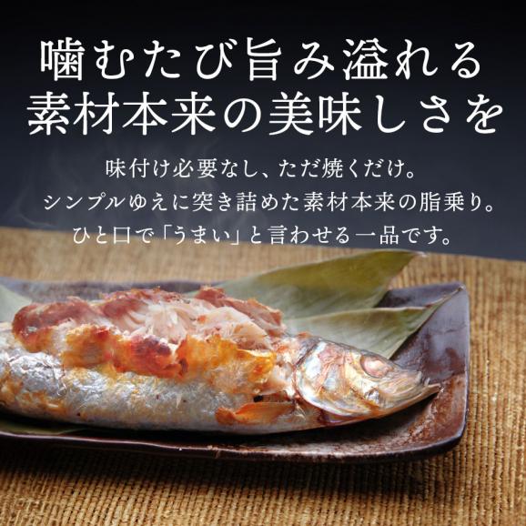 【新商品】礼文島産 ひと塩ニシン 350g前後×10尾 【送料無料】【白子or数の子入り)】05