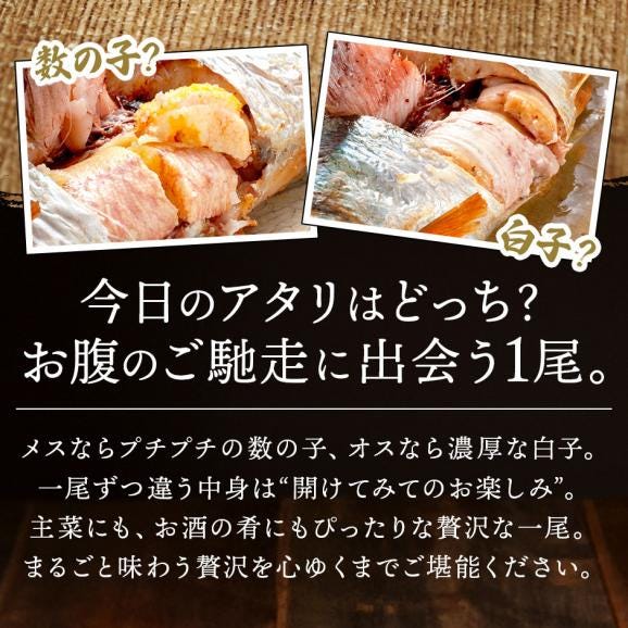 【新商品】礼文島産 ひと塩ニシン 350g前後×10尾 【送料無料】【白子or数の子入り)】06