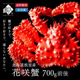 【水揚げ次第お届け】根室産 チルド花咲ガニ(姿) 700g前後【送料無料】【獲れたて未冷凍】