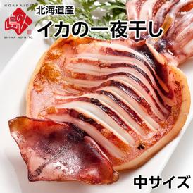 イカの一夜干し　中サイズ