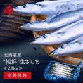 北海道産 サンマ 2.0kg 生さんま　お刺身で食べられるほど高鮮度【獲れたてをすぐお届け】