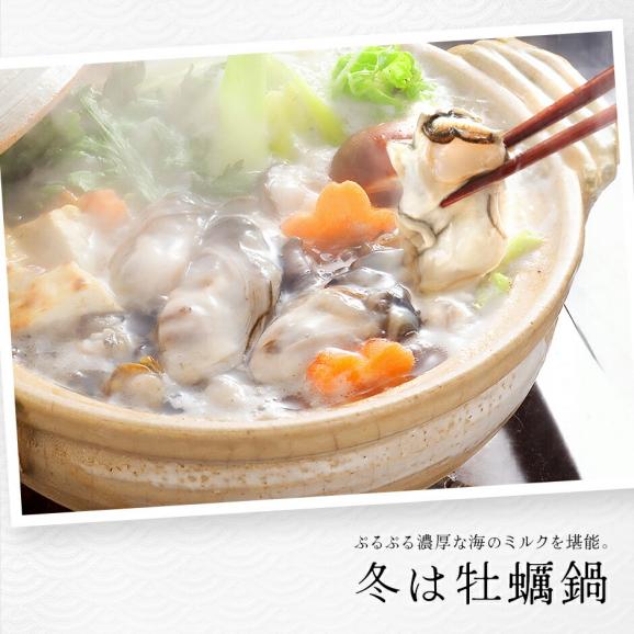 北海道 知内産 剥き身牡蠣 300g　殻剥き不要02
