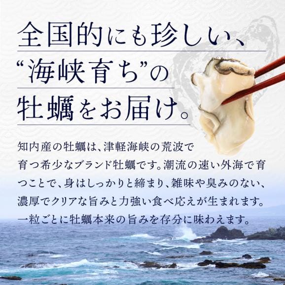 北海道 知内産 剥き身牡蠣 300g 殻剥き不要02