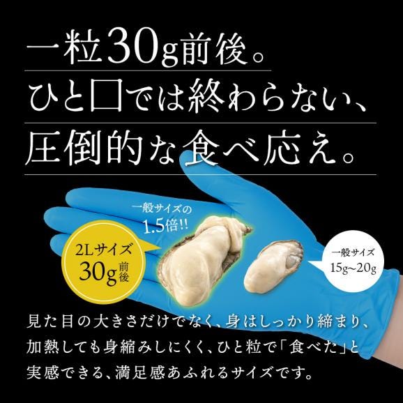 北海道 知内産 剥き身牡蠣 300g 殻剥き不要03