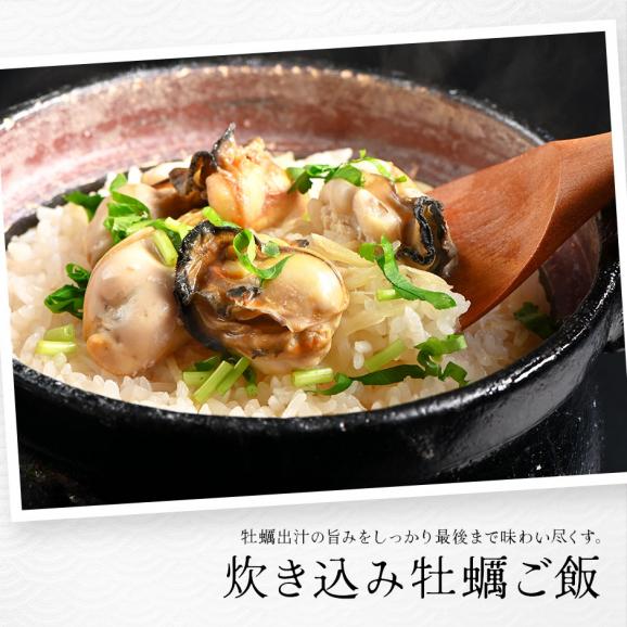 北海道 知内産 剥き身牡蠣 300g　殻剥き不要04